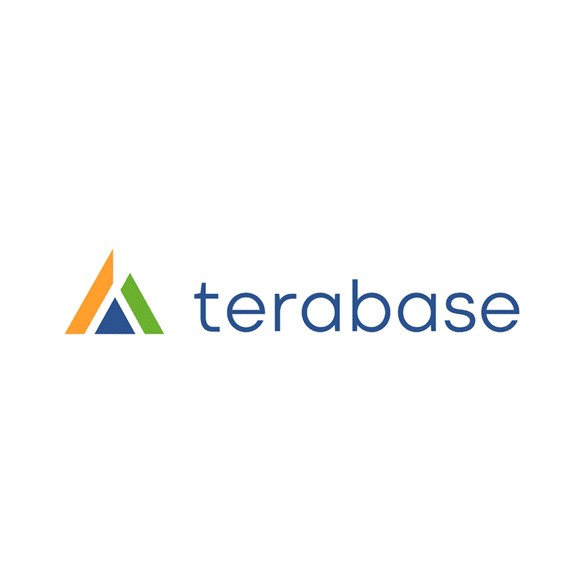 Terabase Logo
